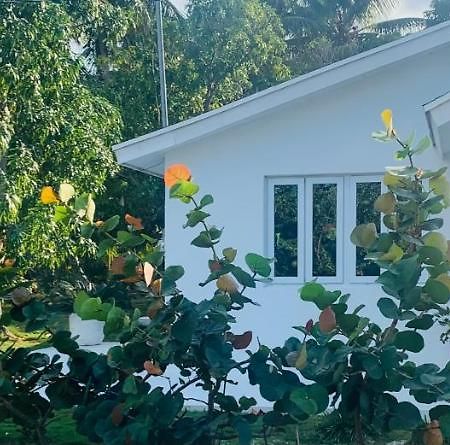 The Cay House Hotell Mangrove Cay Eksteriør bilde