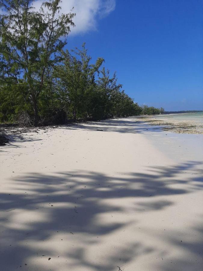 The Cay House Hotell Mangrove Cay Eksteriør bilde